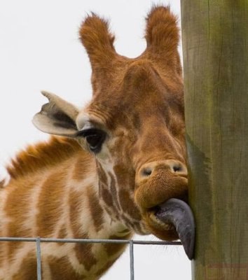 №4, Мария Нагорная, 37 лет, Харьков №4, Мария Нагорная, 37 лет, Харьков