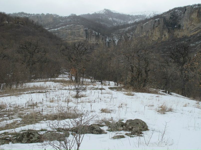 Игорь Баженов | 