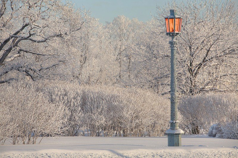 Юля Григорашенко | Санкт-Петербург
