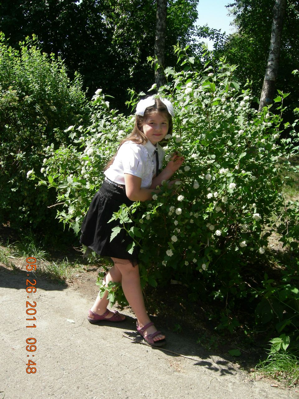 Лена Сухенко | Черкассы