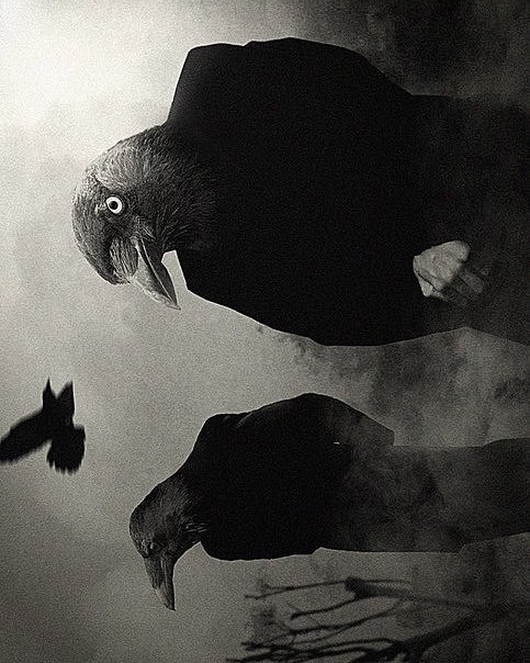 Юлия Канева | Москва