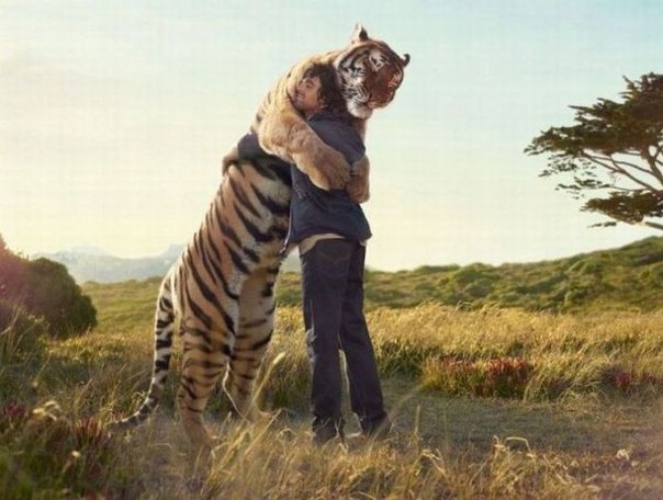 Александр Зарубин | Москва