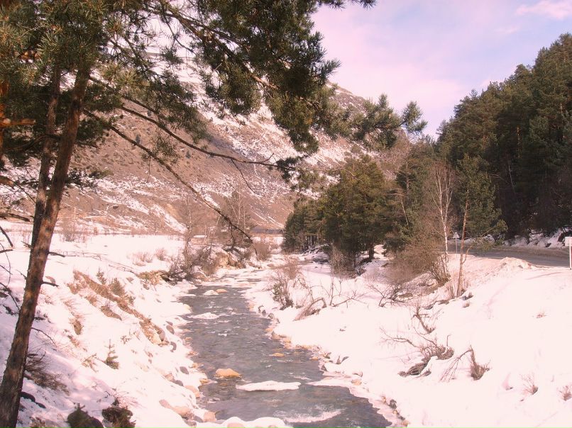 Анна Решетникова ФЕЯ | Ростов-на-Дону