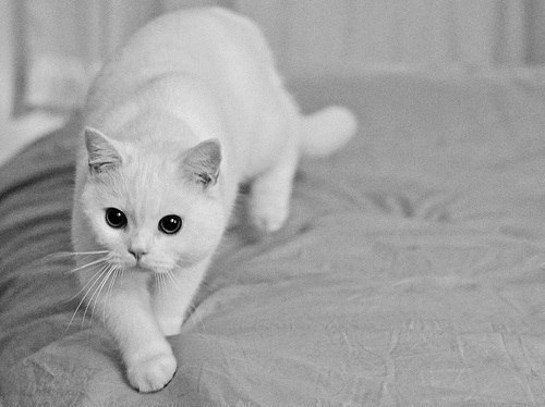 Валентина Табатадзе | Новомосковск