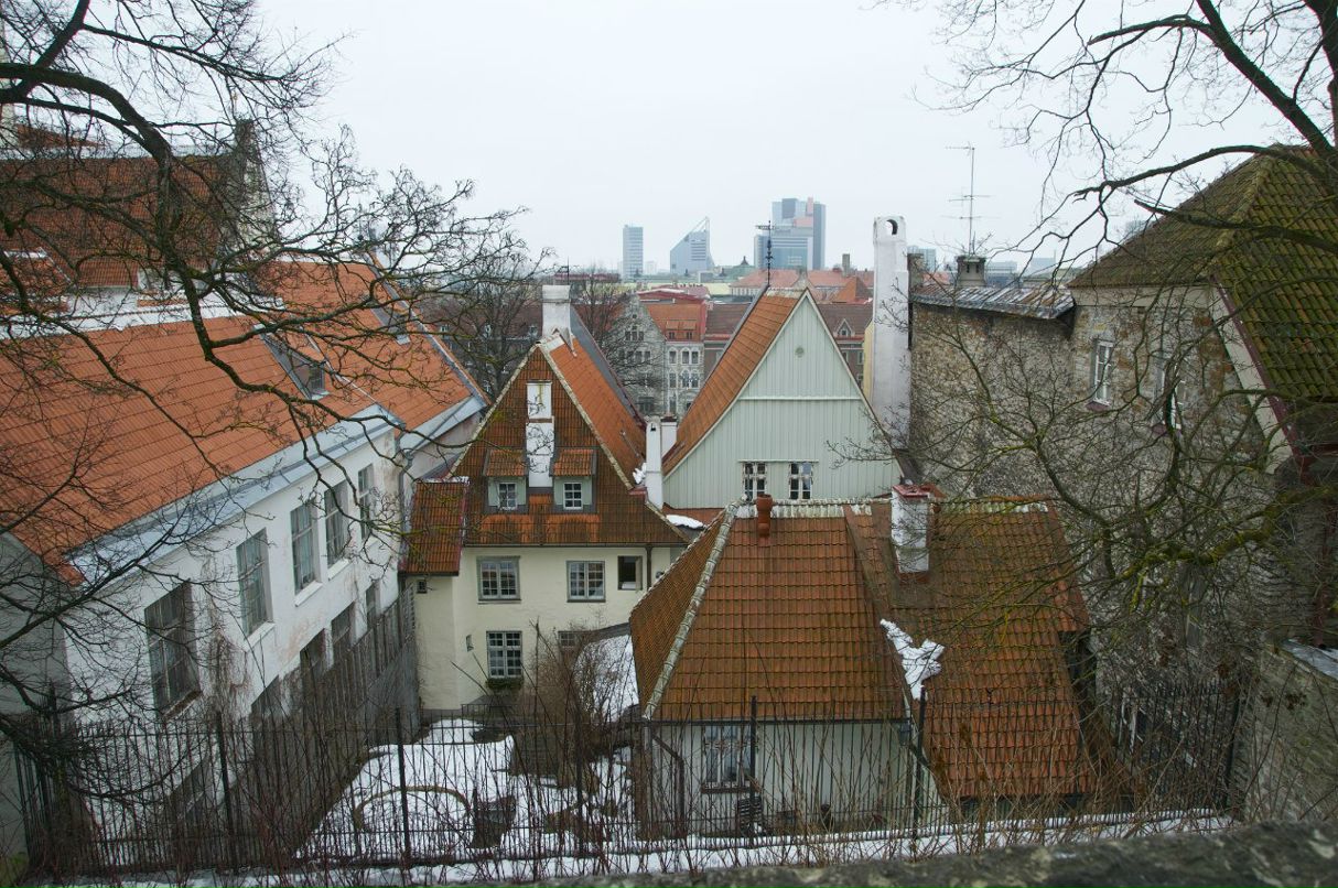 Юрий Рудчик | Санкт-Петербург