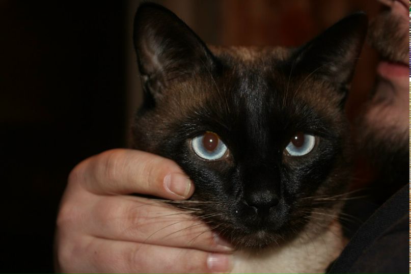 Марина Рысь Дмитриевна | 