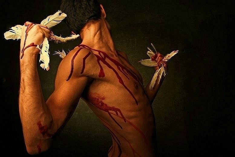 Александр Плотников | Киев