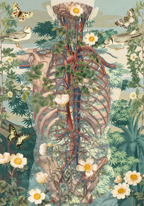 Олег Сидоров Fatal_error | Киев