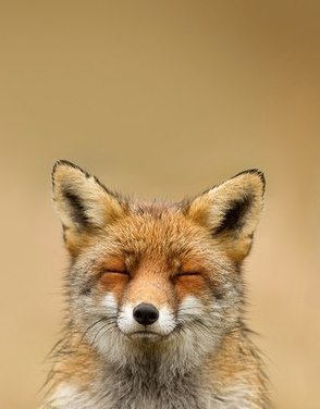 Julia Radowski | Hamburg