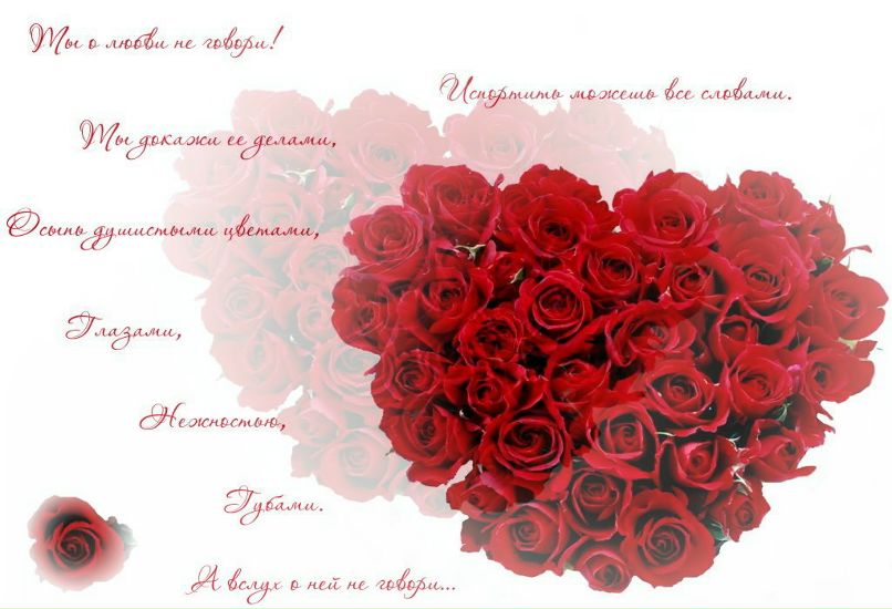 Ксения Логинова | Москва