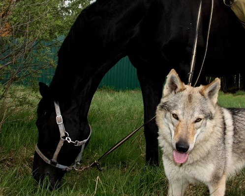 Наталия Фед фото профиля #1