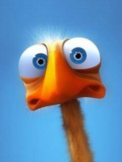 Олег Кугай | Кривой Рог