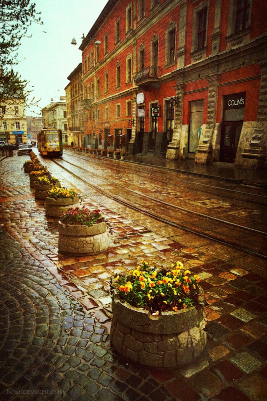 Надія Руда | Львов