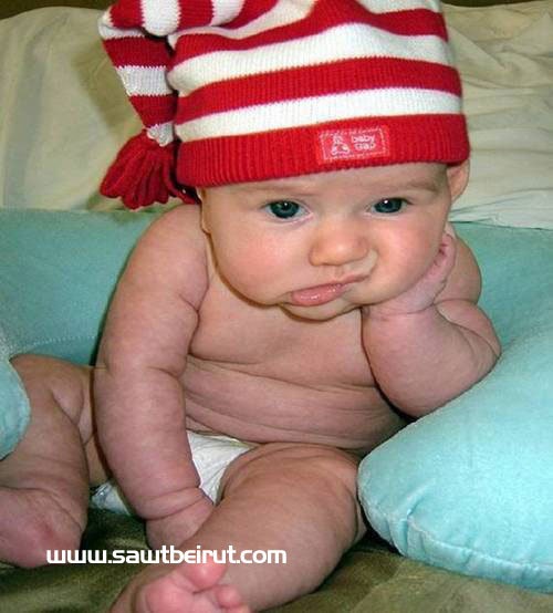 №11, Ali Lacoste, Львов №11, Ali Lacoste, Львов