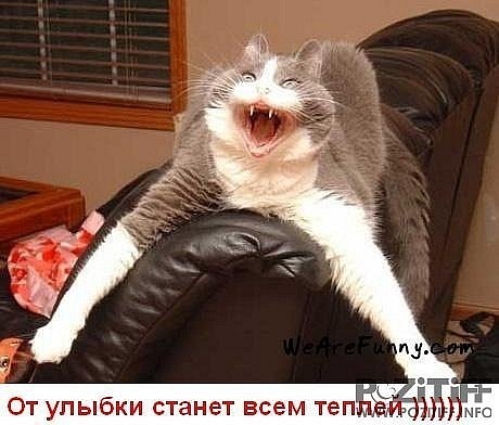 №27, Бони Элис Брю, 39 лет №27, Бони Элис Брю, 39 лет