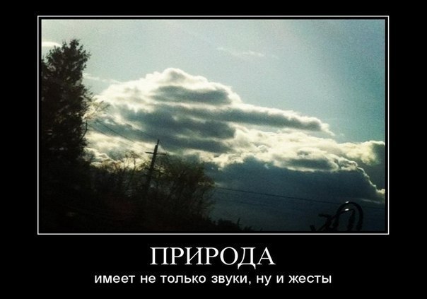 Дмитрий Гусар | Кривой Рог