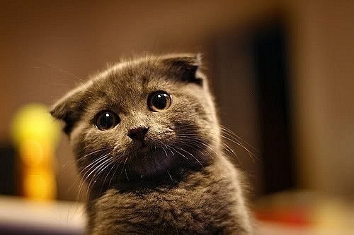 Евгений Мартьянов | Санкт-Петербург