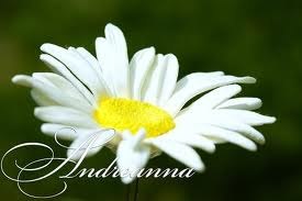 Рома Стацюк Elusive | Горохов