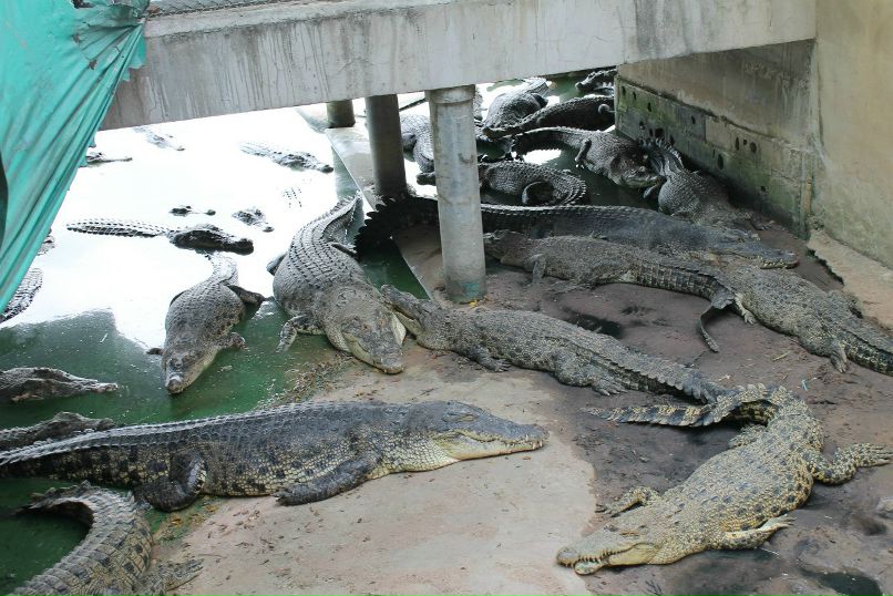 Марат Хабибрахманов ๑۩۩๑ | Казань