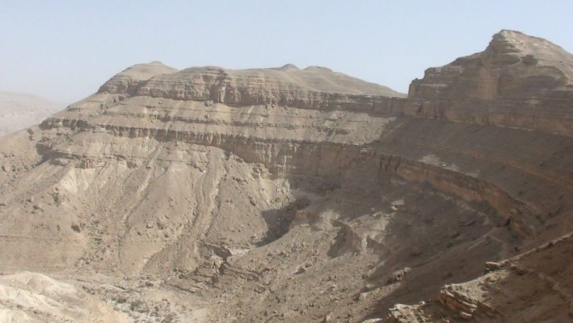 Ирина Зущик | Житомир