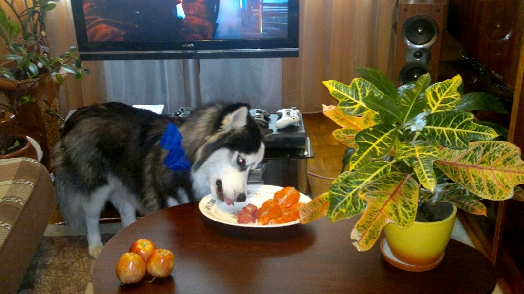 №3, Тимур Яновский, Санкт-Петербург №3, Тимур Яновский, Санкт-Петербург