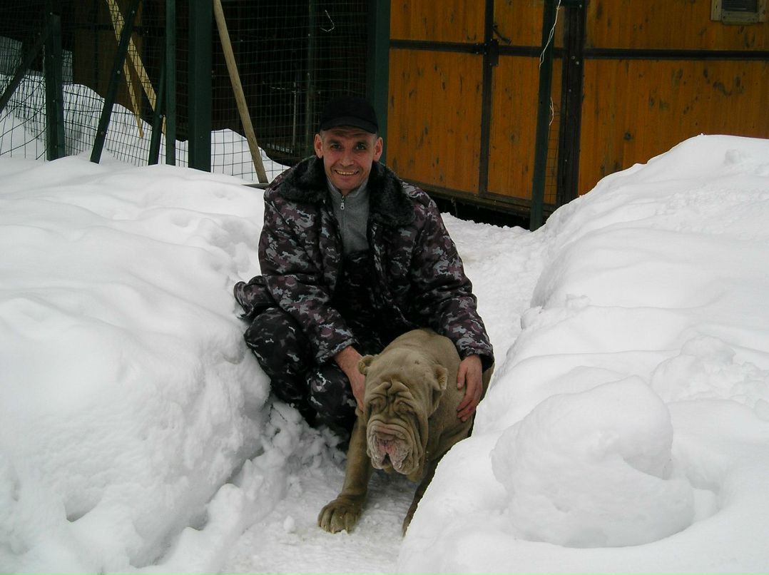 Елена Шевченко | Запорожье