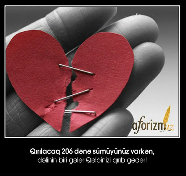 №97, Senan Aliyev, Шамкир №97, Senan Aliyev, Шамкир
