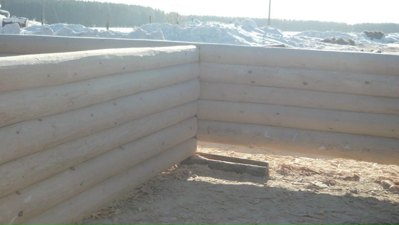 Михаил Никитин | Казань