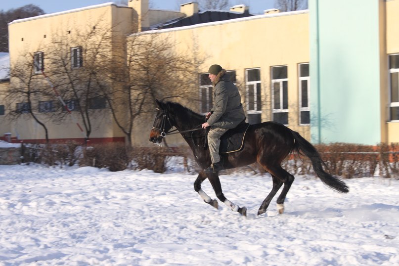 Сергей Котляров | Львов