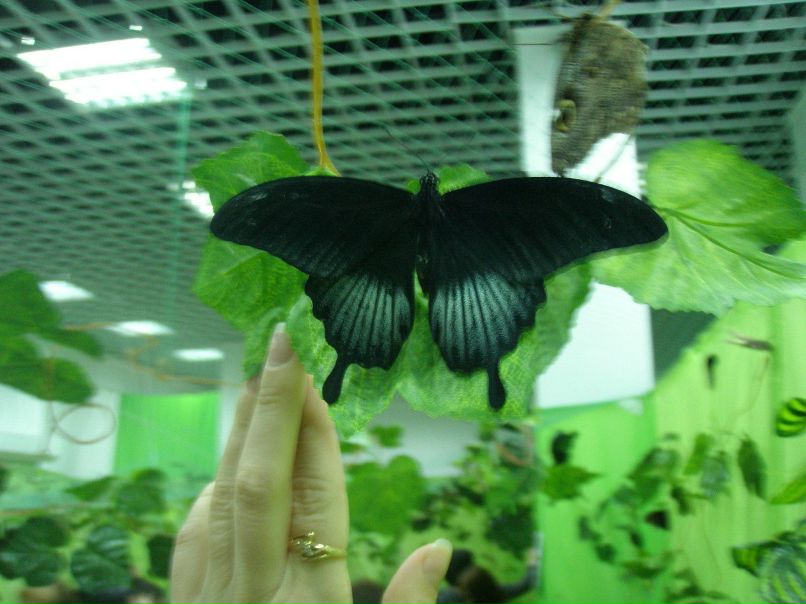 Марат Гишмеев Marik | Набережные Челны