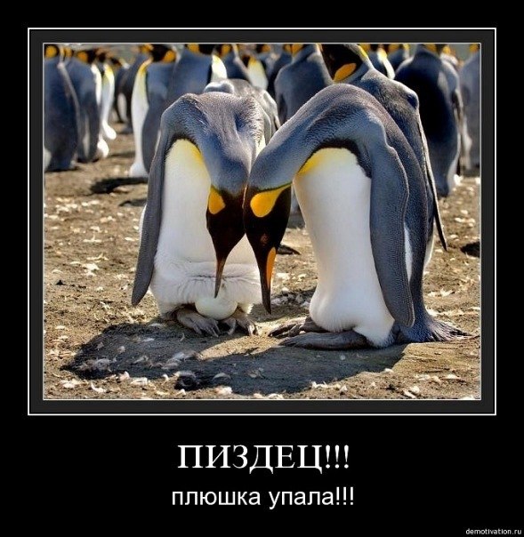 Рустам Абдушукуров snikersni | Коломна