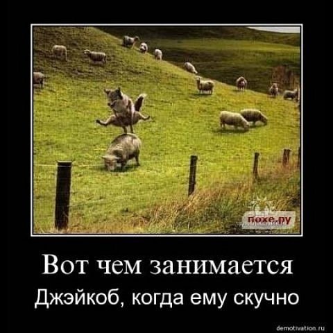 Виталик Хаменок | 