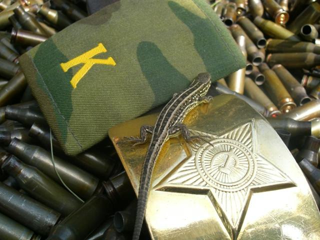 Eldar Gafizov | Казань