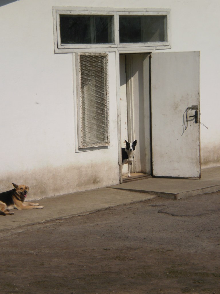 Валера Лисий | Днепр (Днепропетровск)