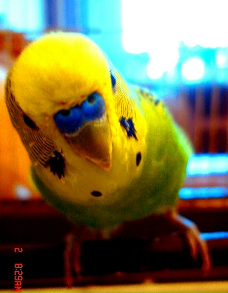 №10, Александра Шаймиева, Сургут №10, Александра Шаймиева, Сургут