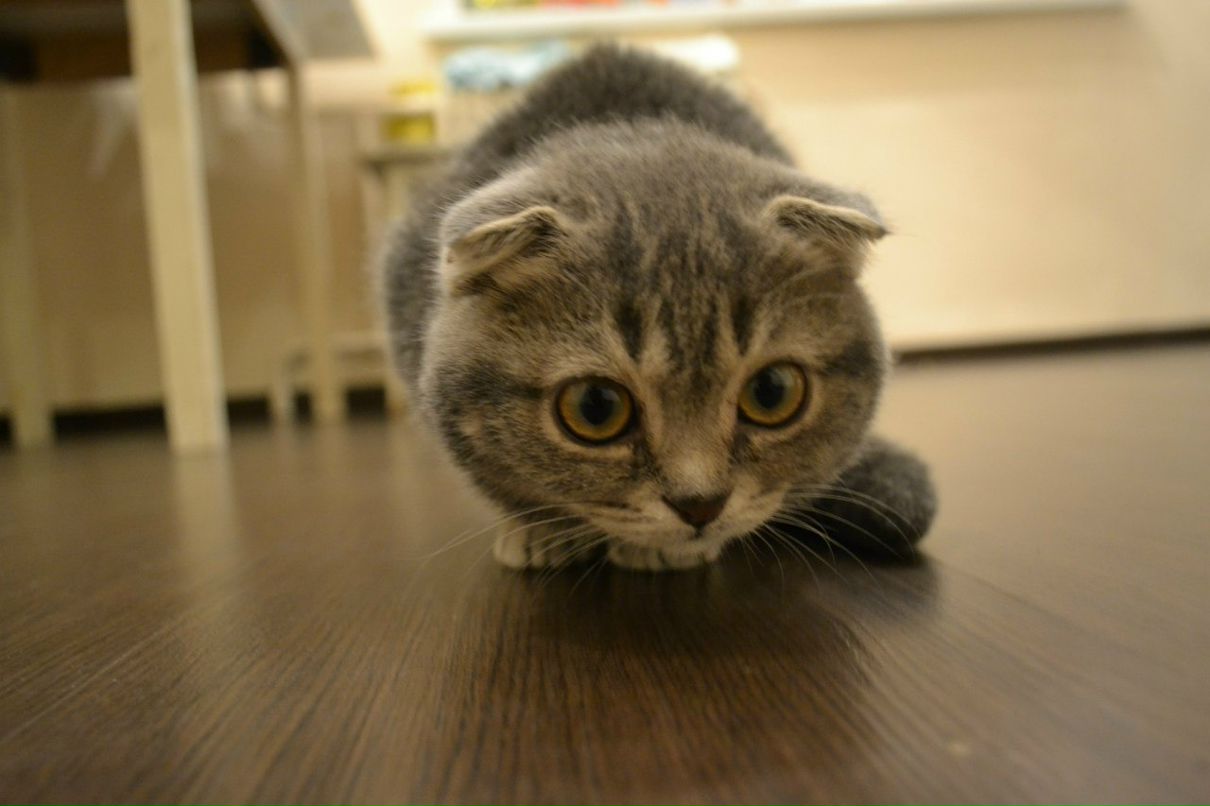 Маша Басова | Екатеринбург