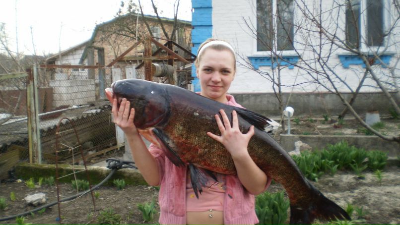 Виктория Химиченко | Обухов