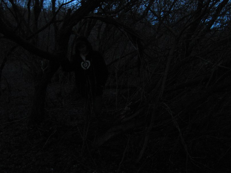 Дммитрий Ольховик © | Путивль