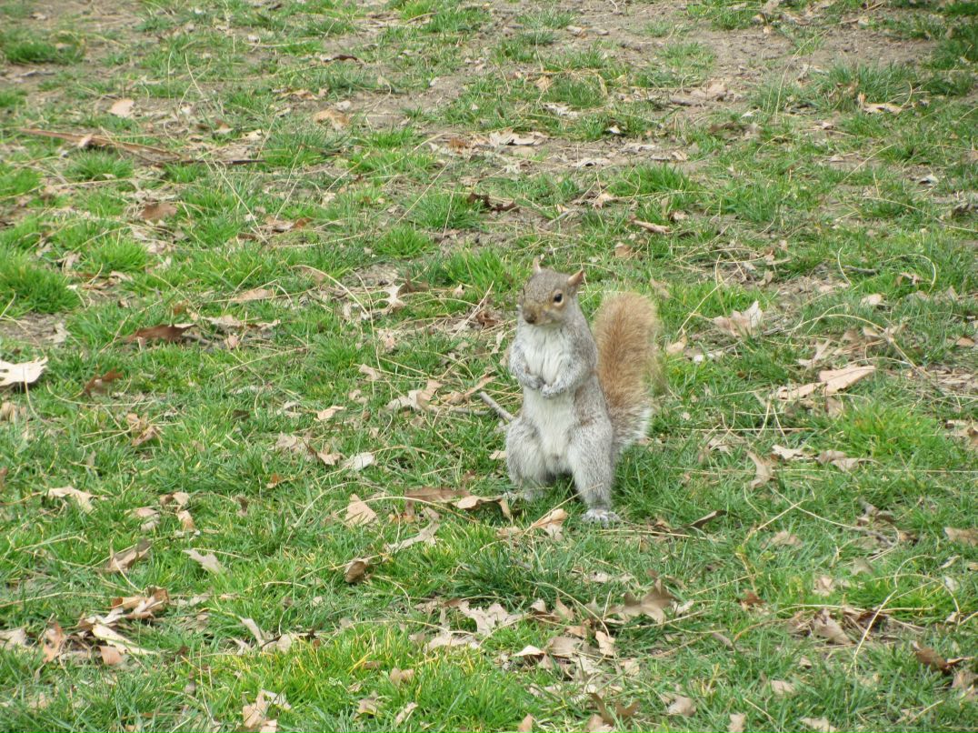 Юлия Лазарева | Москва