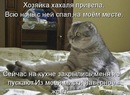 №38 Катерина Николаенко 30.10: профиль, фото, статус - ВКонтакте