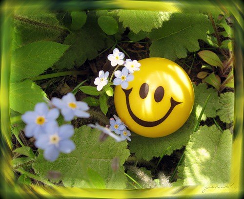 Ксюшка Савихина | Псков