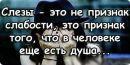 №17 Дмитро Вишневецький 21.07.2000: профиль, фото, статус - ВКонтакте №17 Дмитро Вишневецький 21.07.2000: профиль, фото, статус - ВКонтакте
