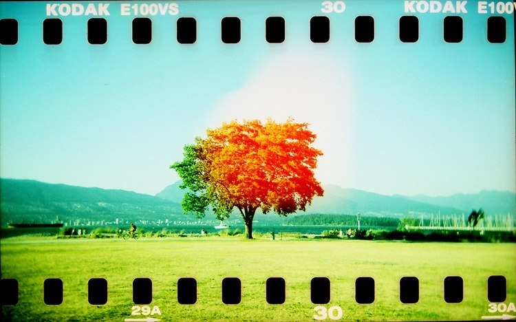 Deniss Evgenich ˙˙·٠ | Нижний Новгород