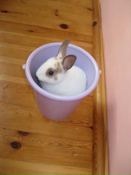 №5, Selena Gomez, 33 года, Los Angeles №5, Selena Gomez, 33 года, Los Angeles