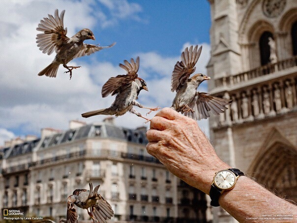 №57, Дмитрий Анушенко №57, Дмитрий Анушенко