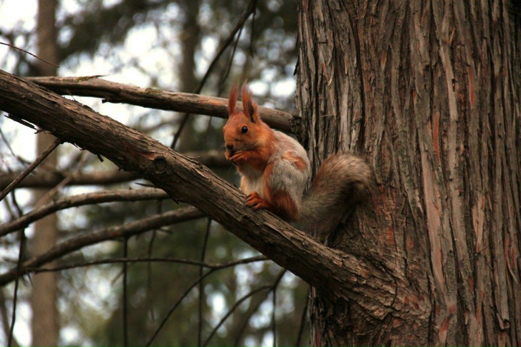 Марианна Ткаченко | Краснодар