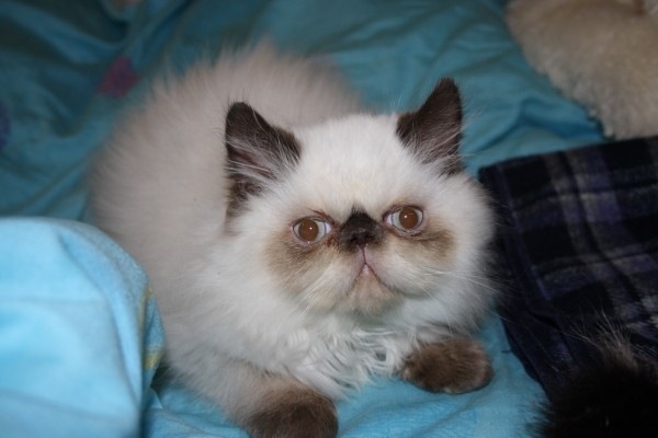 №59, Валерия Воронина, Калининград №59, Валерия Воронина, Калининград