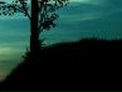 Куклу Секси Виктория | 