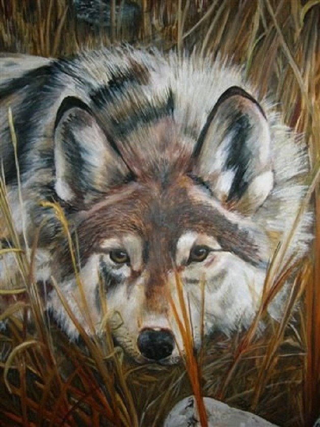 Антон Евтушенко | Рассказово