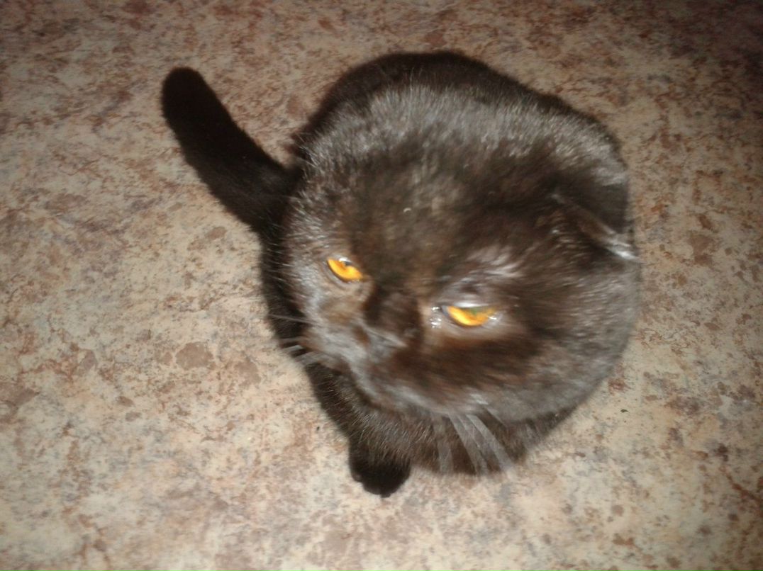 Женя Пахорский | Москва